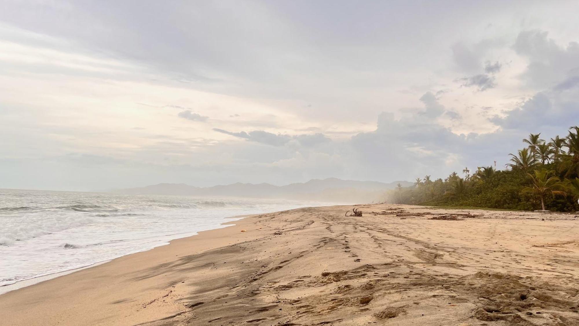 Tayrona Juancho'S House Hostel & Coworking ลอสนารานฆอส ภายนอก รูปภาพ